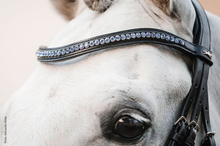 Schockemohle Browband Diamond Select - Browband - Kingdom Equestrian