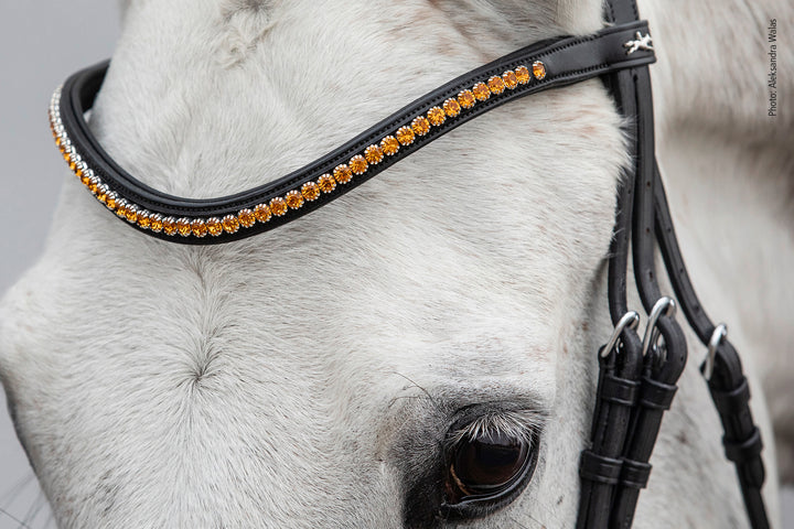 Schockemohle Browband Diamond Select - Browband - Kingdom Equestrian