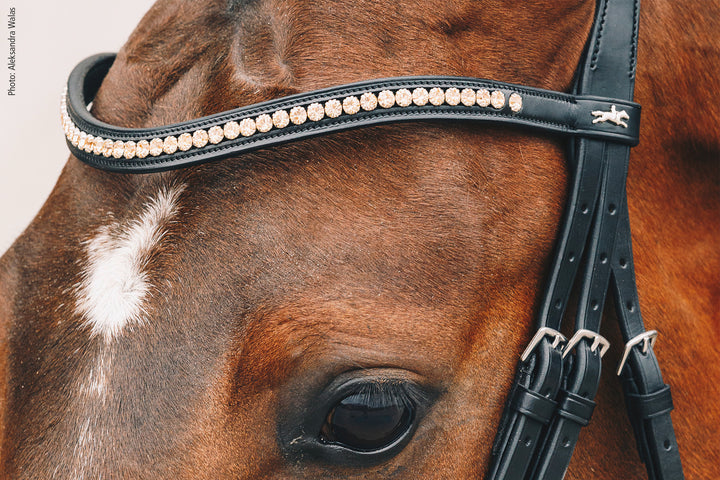 Schockemohle Browband Diamond Select - Browband - Kingdom Equestrian