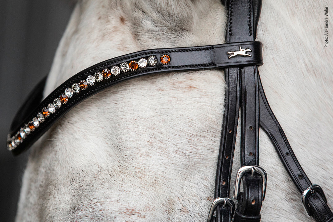 Schockemohle Browband Diamond Select - Browband - Kingdom Equestrian