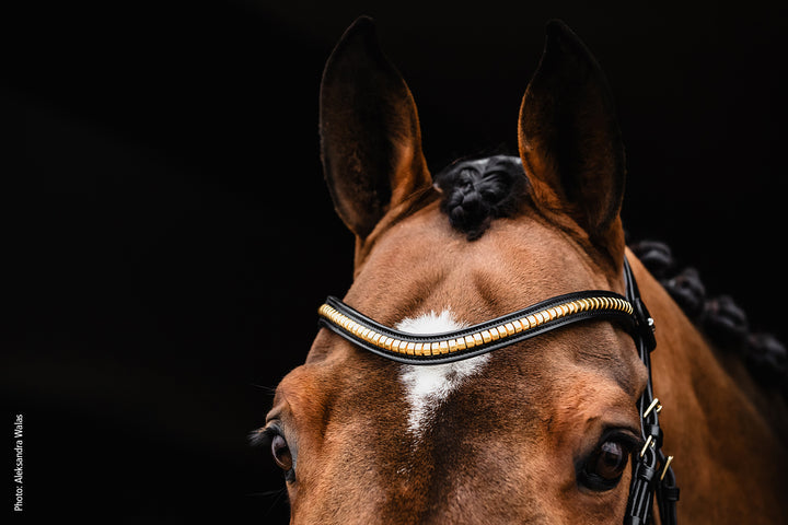 Schockemohle Quick - Remove Clincher Browband - Browband - Kingdom Equestrian