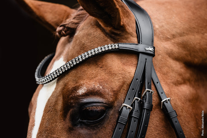 Schockemohle Valencia Browband - Browband - Kingdom Equestrian