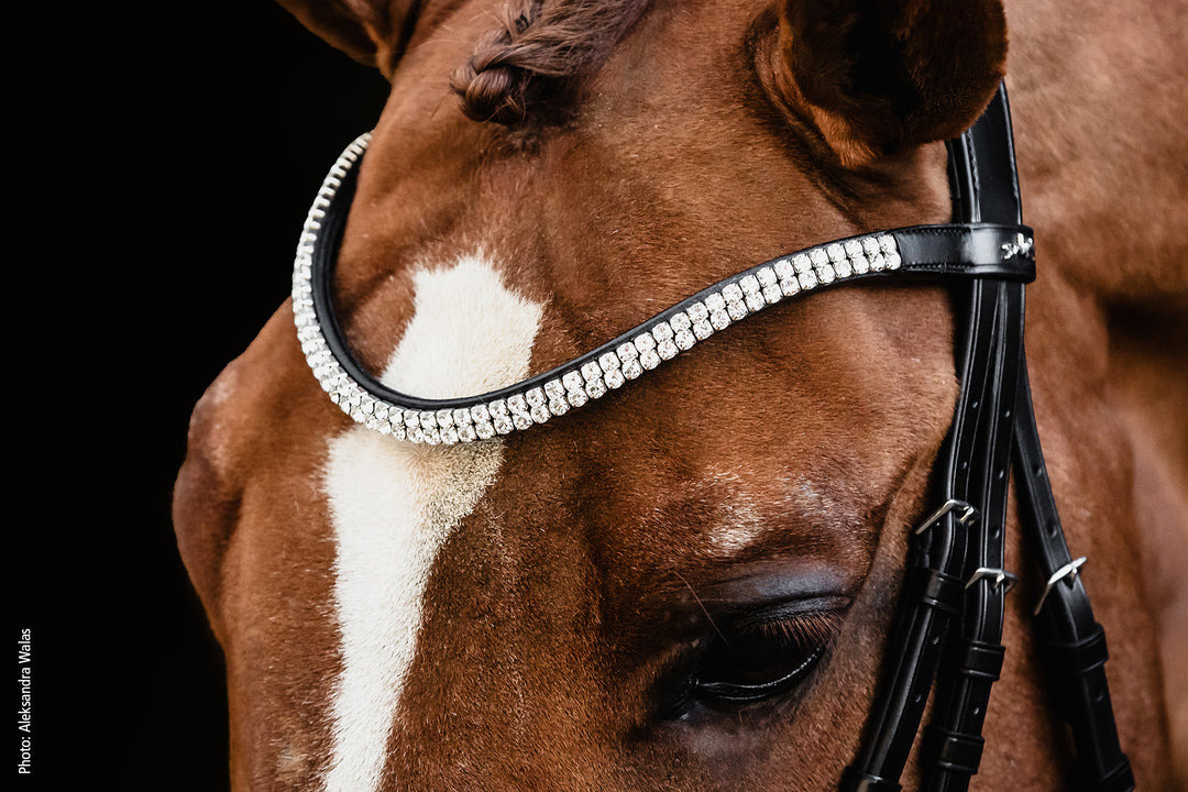 Schockemohle Valencia Browband - Browband - Kingdom Equestrian