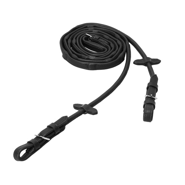 Reins