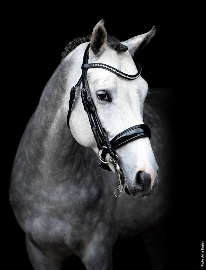 Shockemohle Venice Double Bridle - Double Bridle - Kingdom Equestrian