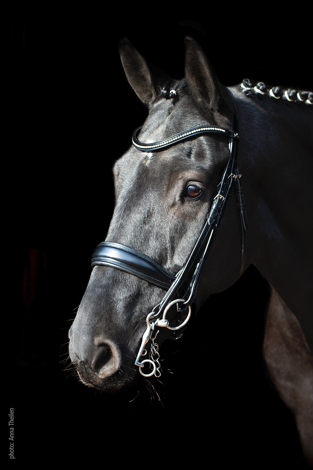 Shockemohle Milan Double Bridle - Double Bridle - Kingdom Equestrian