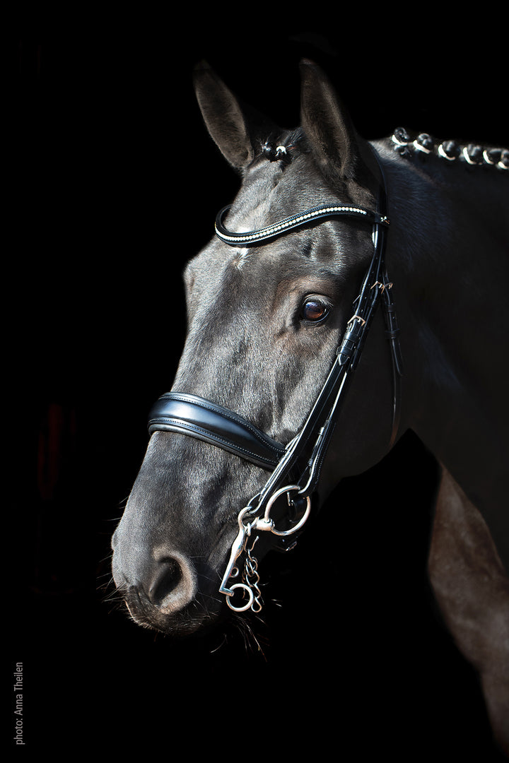 Shockemohle Milan Double Bridle - Double Bridle - Kingdom Equestrian