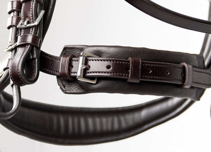 Schockemohle Equitus Gamma - Snaffle Bridle - Kingdom Equestrian