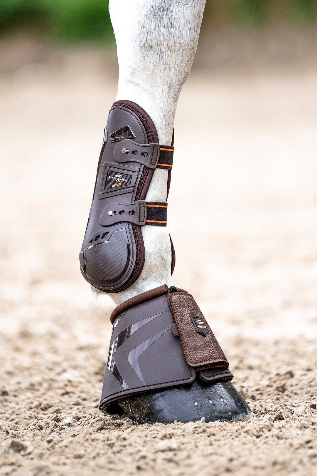Schockemohle Air Flow Champion Tendon Jump Front Boots - Tendon Boots - Kingdom Equestrian