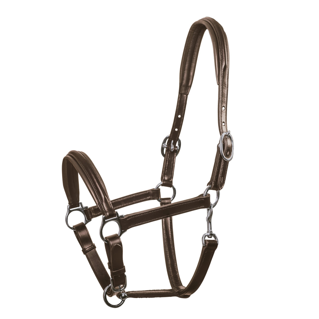 Schockemohle Ulm Pro Leather Headcollar/Halter - Headcollar - Kingdom Equestrian