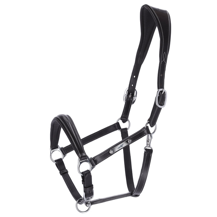 Schockemohle Frisco Leather Headcollar - Headcollar - Kingdom Equestrian