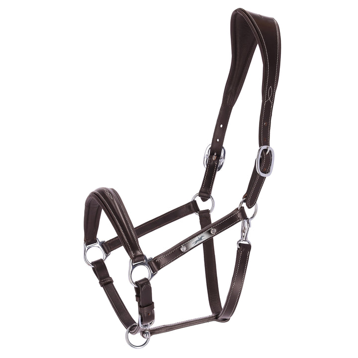 Schockemohle Frisco Leather Headcollar - Headcollar - Kingdom Equestrian