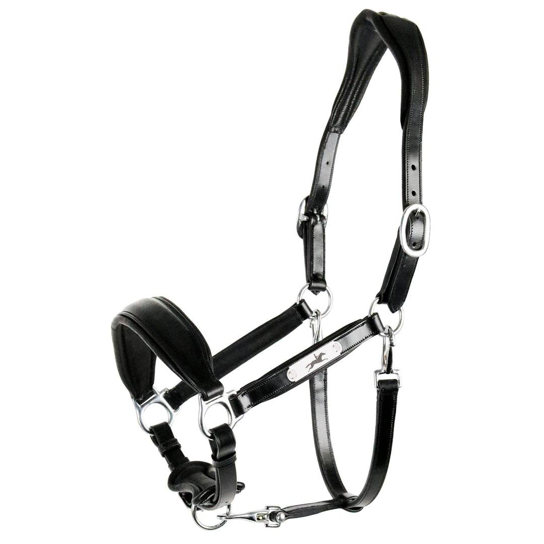 Schockemohle Fremont Pro Leather Headcollar - Headcollar - Kingdom Equestrian