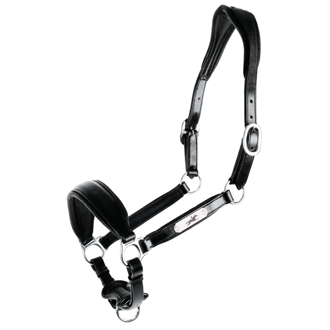 Schockemohle Fremont Pro Leather Headcollar - Headcollar - Kingdom Equestrian