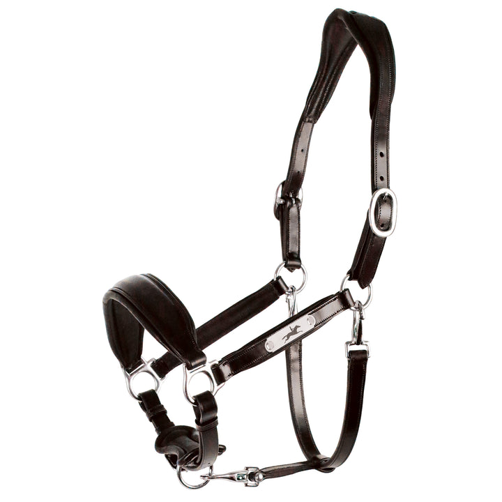 Schockemohle Fremont Pro Leather Headcollar - Headcollar - Kingdom Equestrian
