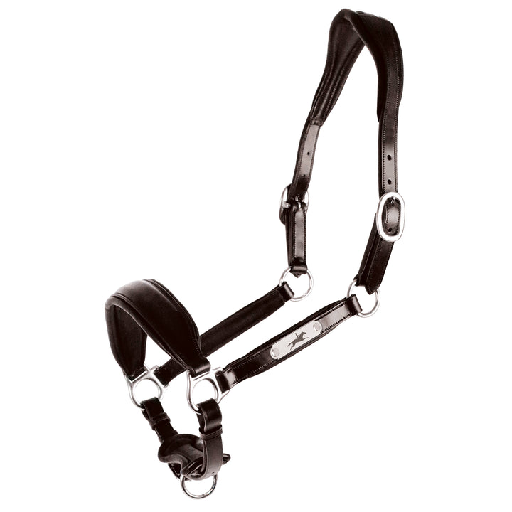 Schockemohle Fremont Pro Leather Headcollar - Headcollar - Kingdom Equestrian