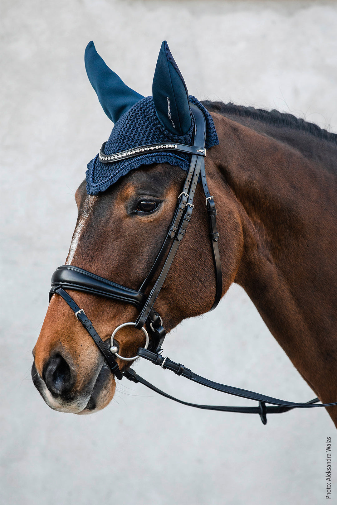 Schockemohle Air Silent Fly Veil/Ear Net - Fly Hood - Kingdom Equestrian