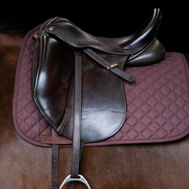 Imperial Riding Stirrup Leathers with Nylon Core - Dark Brown