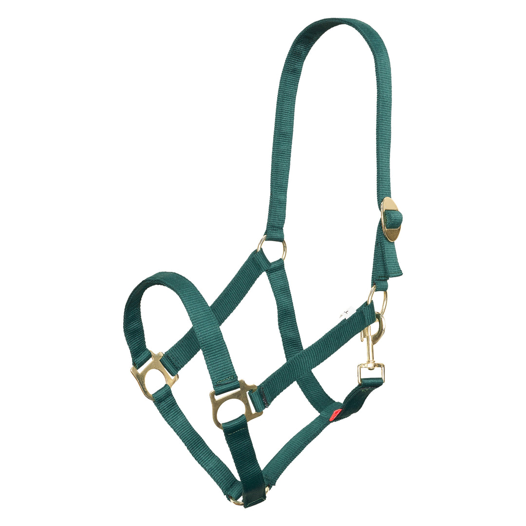 Imperial Riding Headcollar Economic - Forest Green