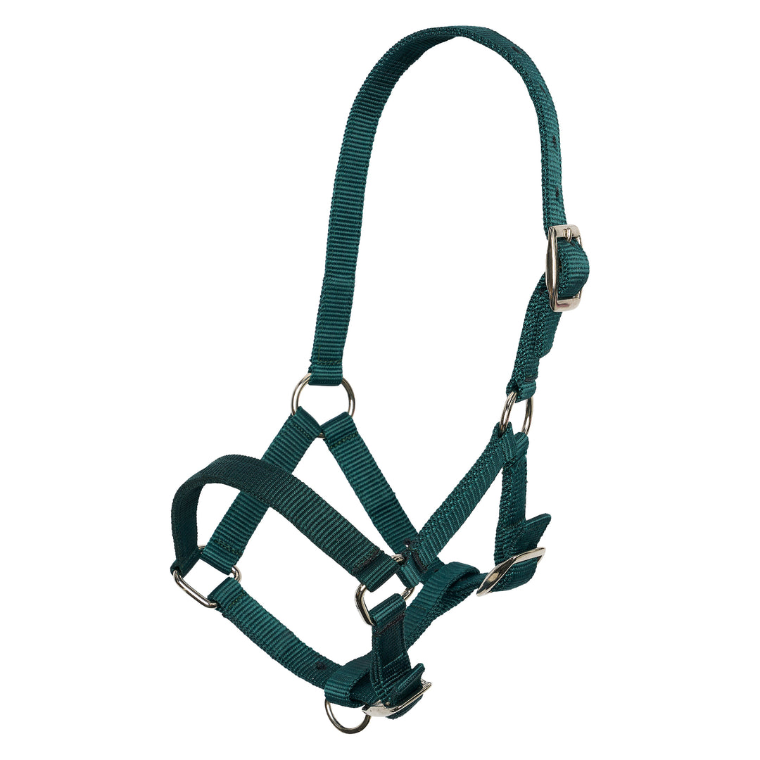 Imperial Riding Headcollar Foal - Forest Green