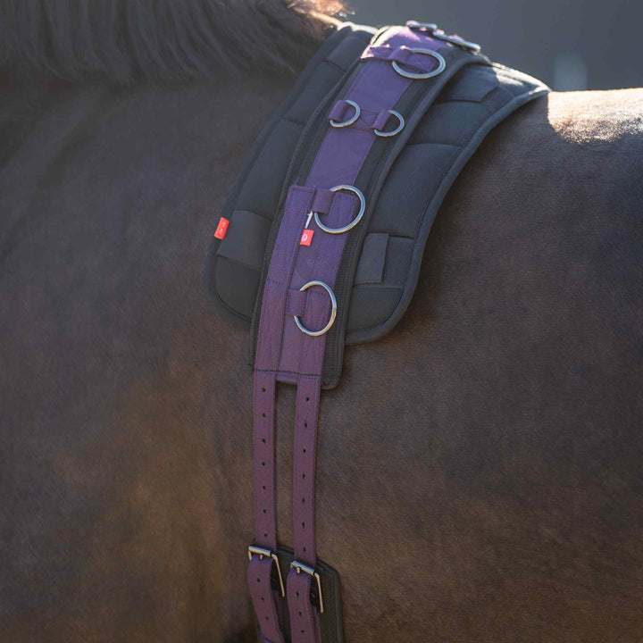 Imperial Riding Lunging Girth Deluxe Extra - Black Berry