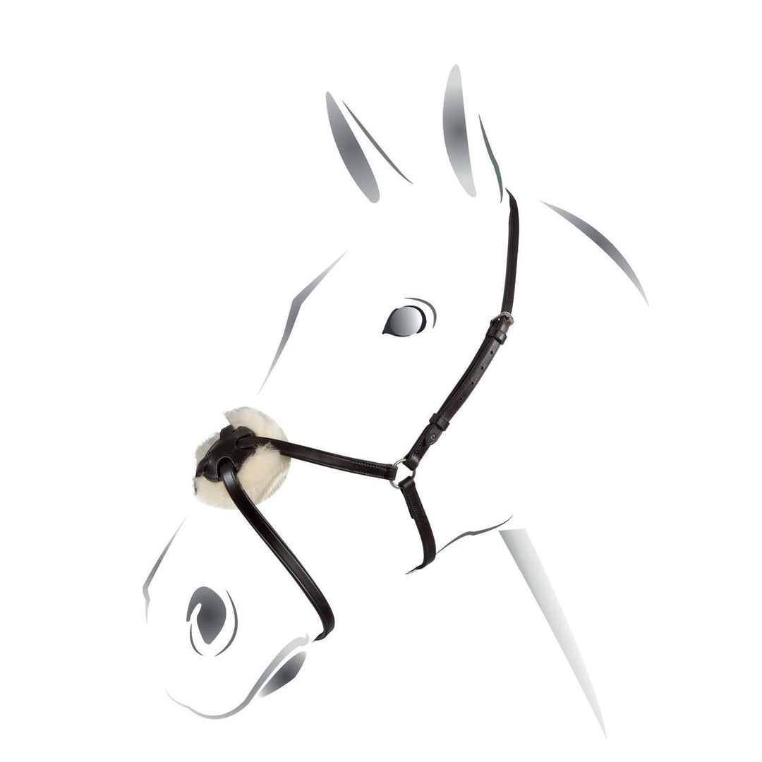 Equestro Leather Figure Eight Noseband Bridle - Dark Brown