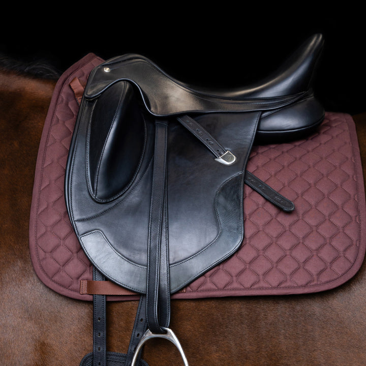 Imperial Riding Stirrup Leathers with Nylon Core - Black