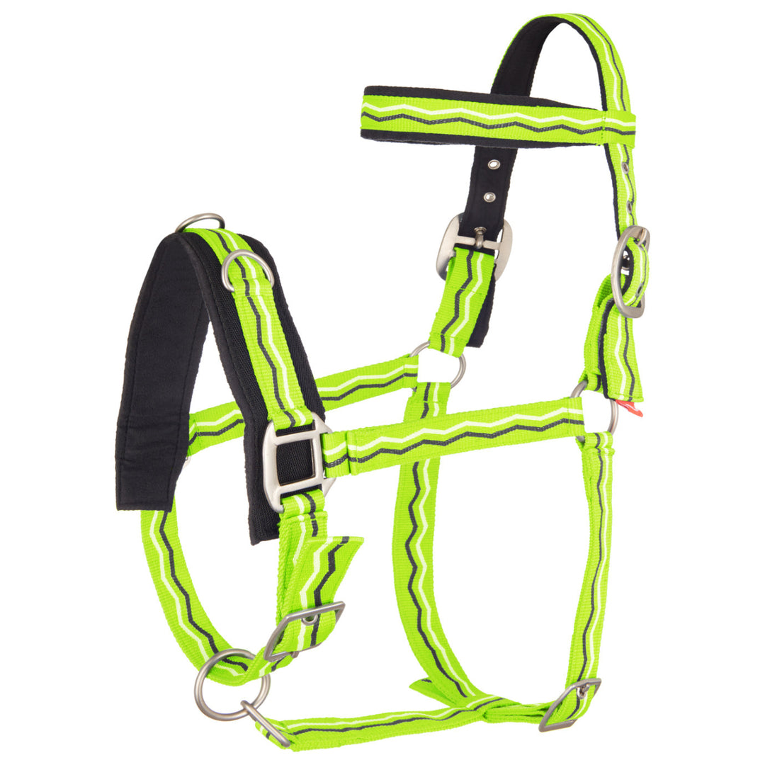 Imperial Riding Cavesson in Neon Green