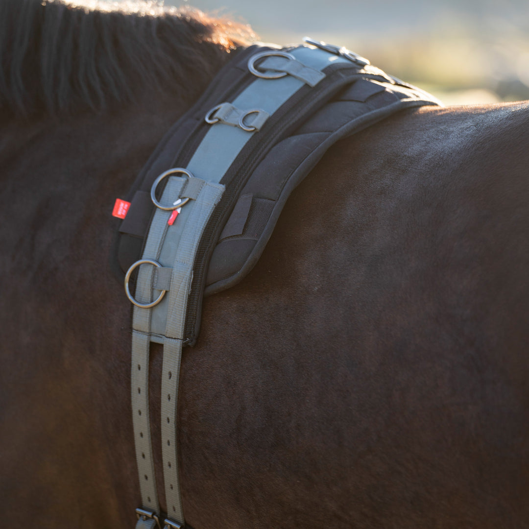 Imperial Riding Lunging Girth Deluxe Extra - Dark Sage