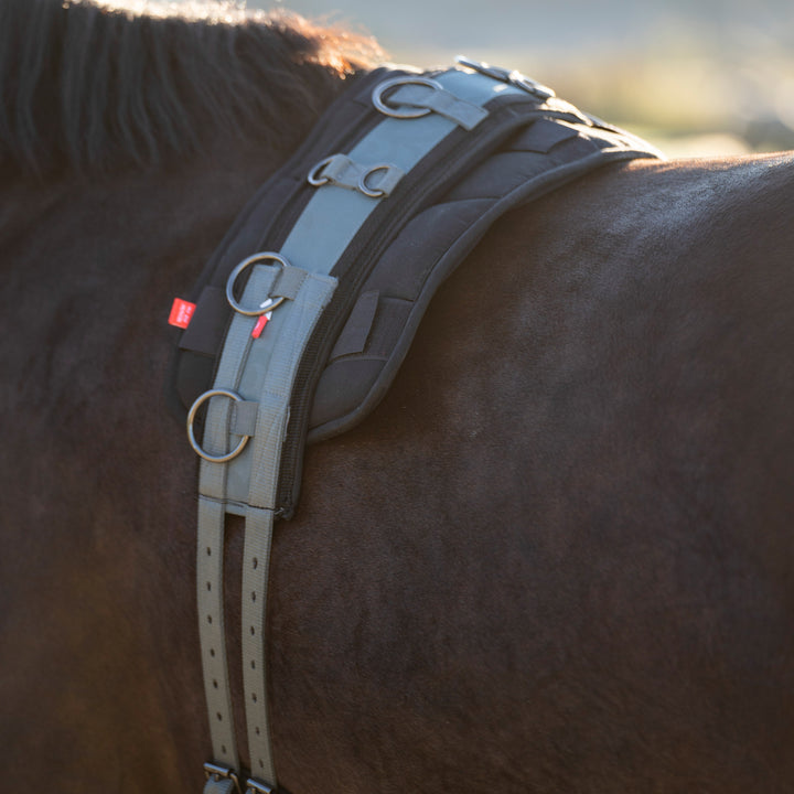 Imperial Riding Lunging Girth Deluxe Extra - Dark Sage