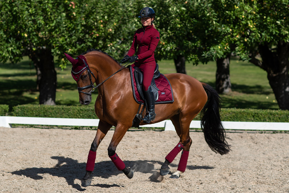 Riding Breeches Elite Bordeaux - view 9