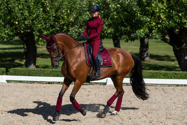 Riding Breeches Elite Bordeaux - view 9
