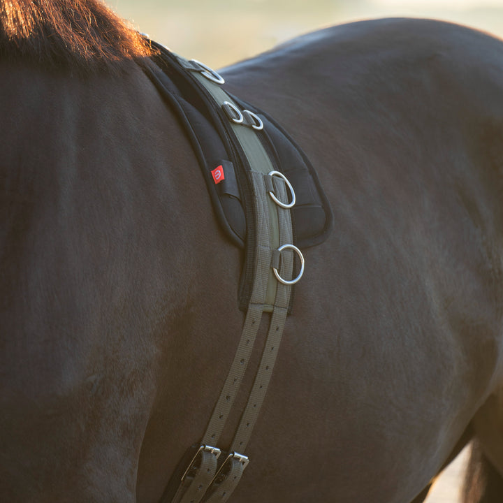 Imperial Riding Lunging Girth Deluxe Extra - Olive Green/Olive Green