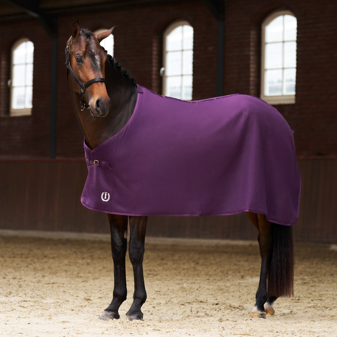 Imperial Riding Fleece Blanket Fundamental Basic