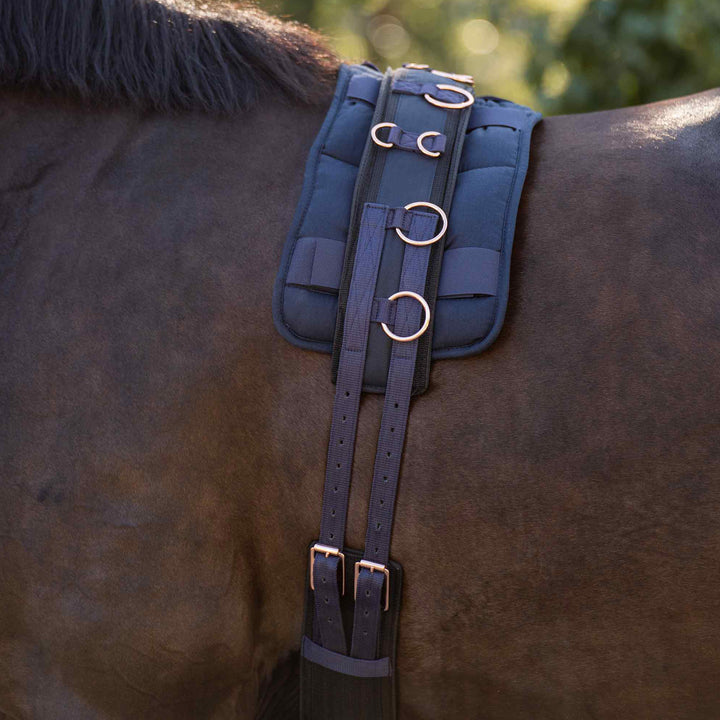 Imperial Riding Lunging Girth Deluxe Extra - Navy/Rose Gold