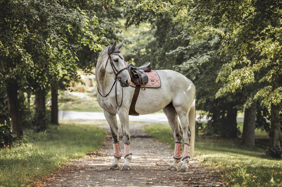 Equestrian Stockholm Brushing Boots Pink - Brushing Boots - Kingdom Equestrian