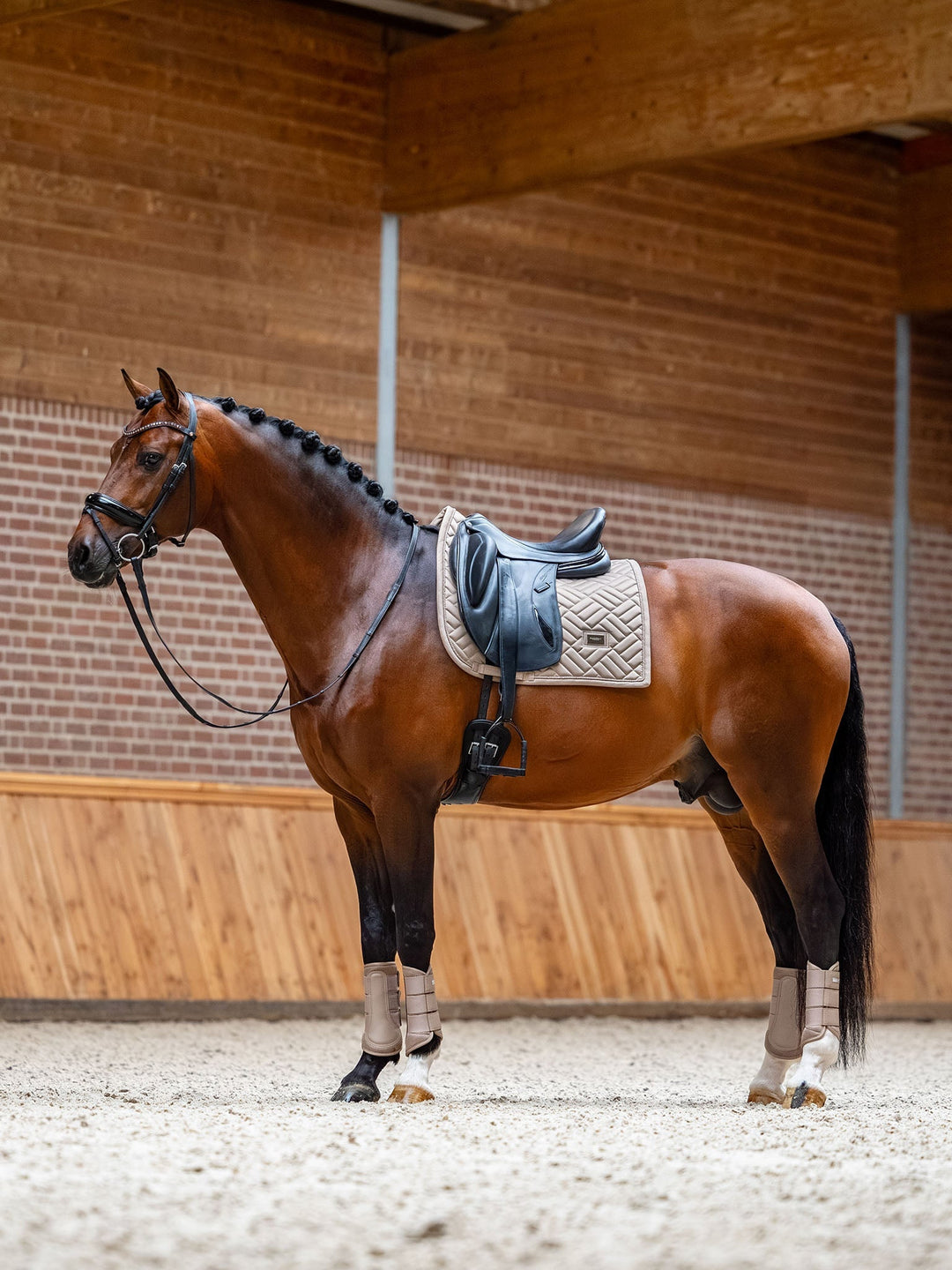 Equestrian Stockholm Dressage Saddle Pad Modern Sand - Dressage Saddle Pad - Kingdom Equestrian
