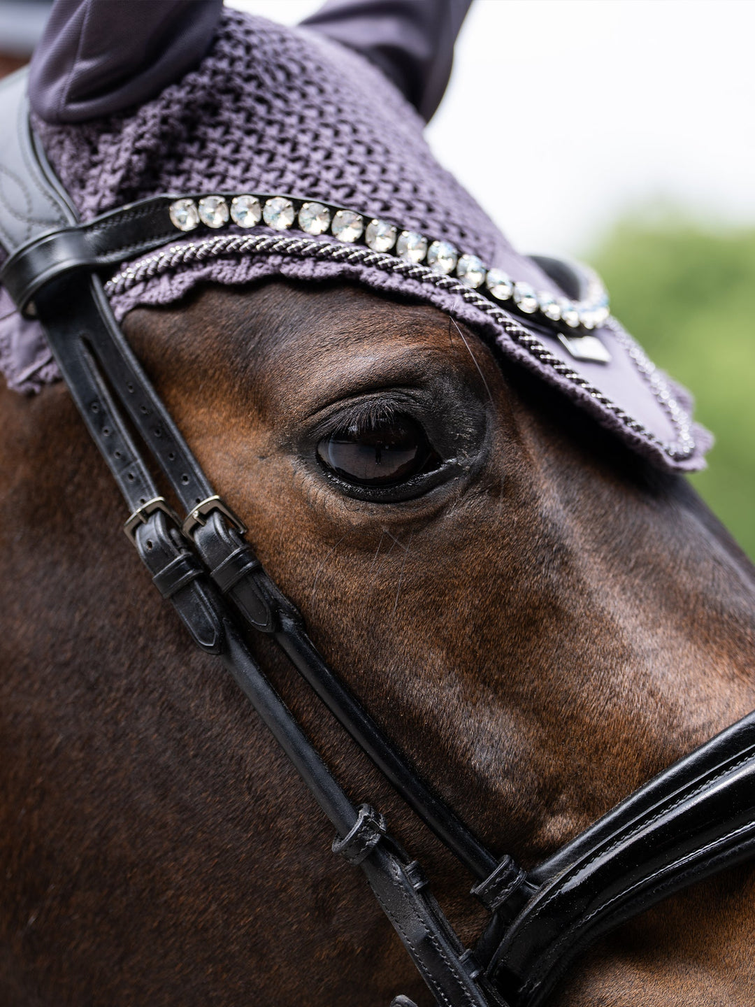 Equestrian Stockholm Fly Hood - Dark Violet - Fly Hood - Kingdom Equestrian