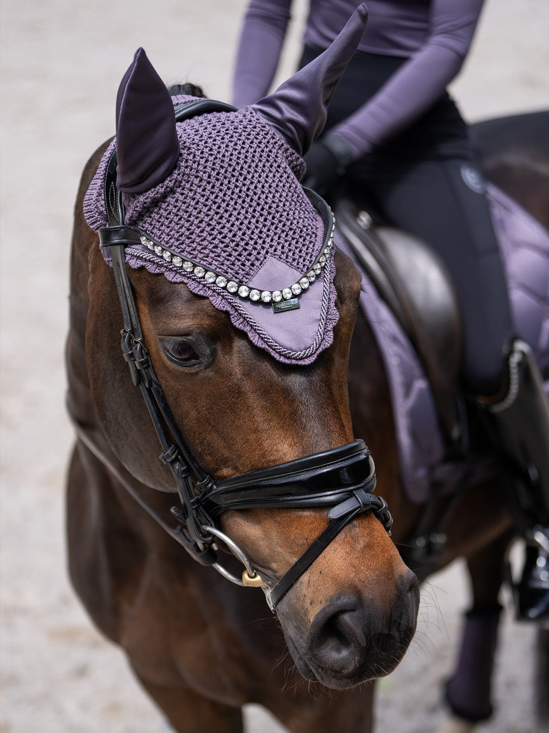 Equestrian Stockholm Fly Hood - Dark Violet - Fly Hood - Kingdom Equestrian