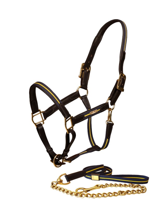 Equestrian Stockholm Leather Halter & Lead Chain Sweden Nation Navy - Halter - Kingdom Equestrian
