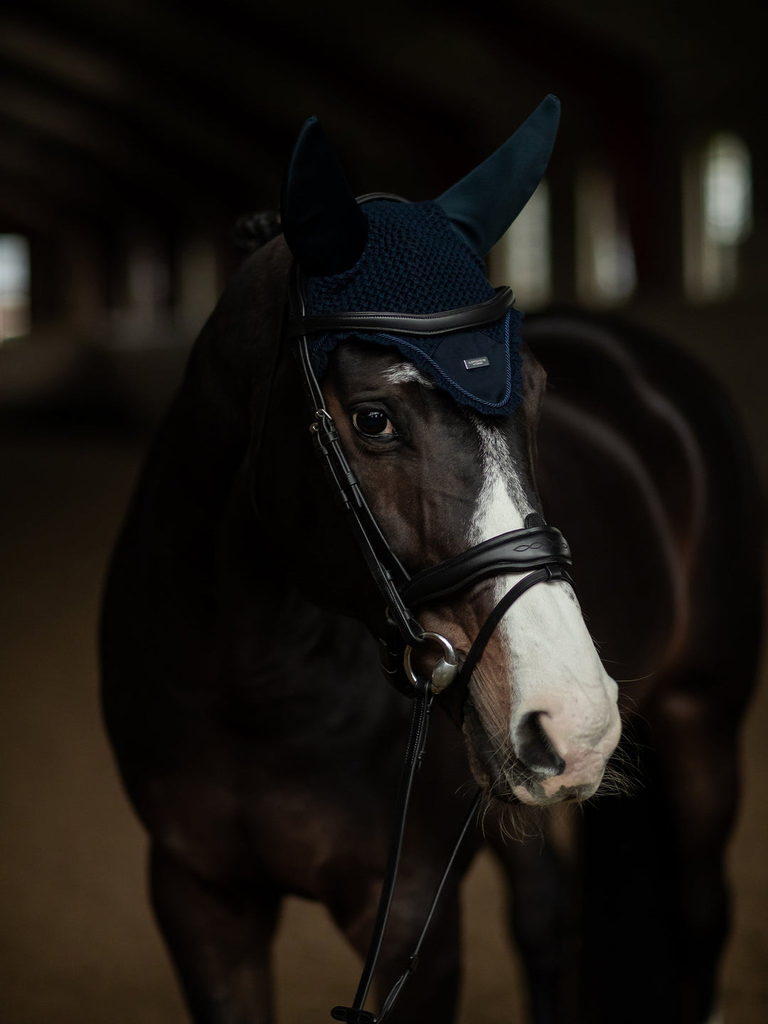 Equestrian Stockholm Soundless Fly Hood Navy Silver - Ear Bonnet - Kingdom Equestrian