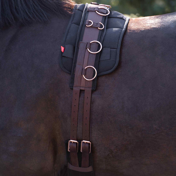 Imperial Riding Lunging Girth Deluxe Extra - Walnut/Walnut