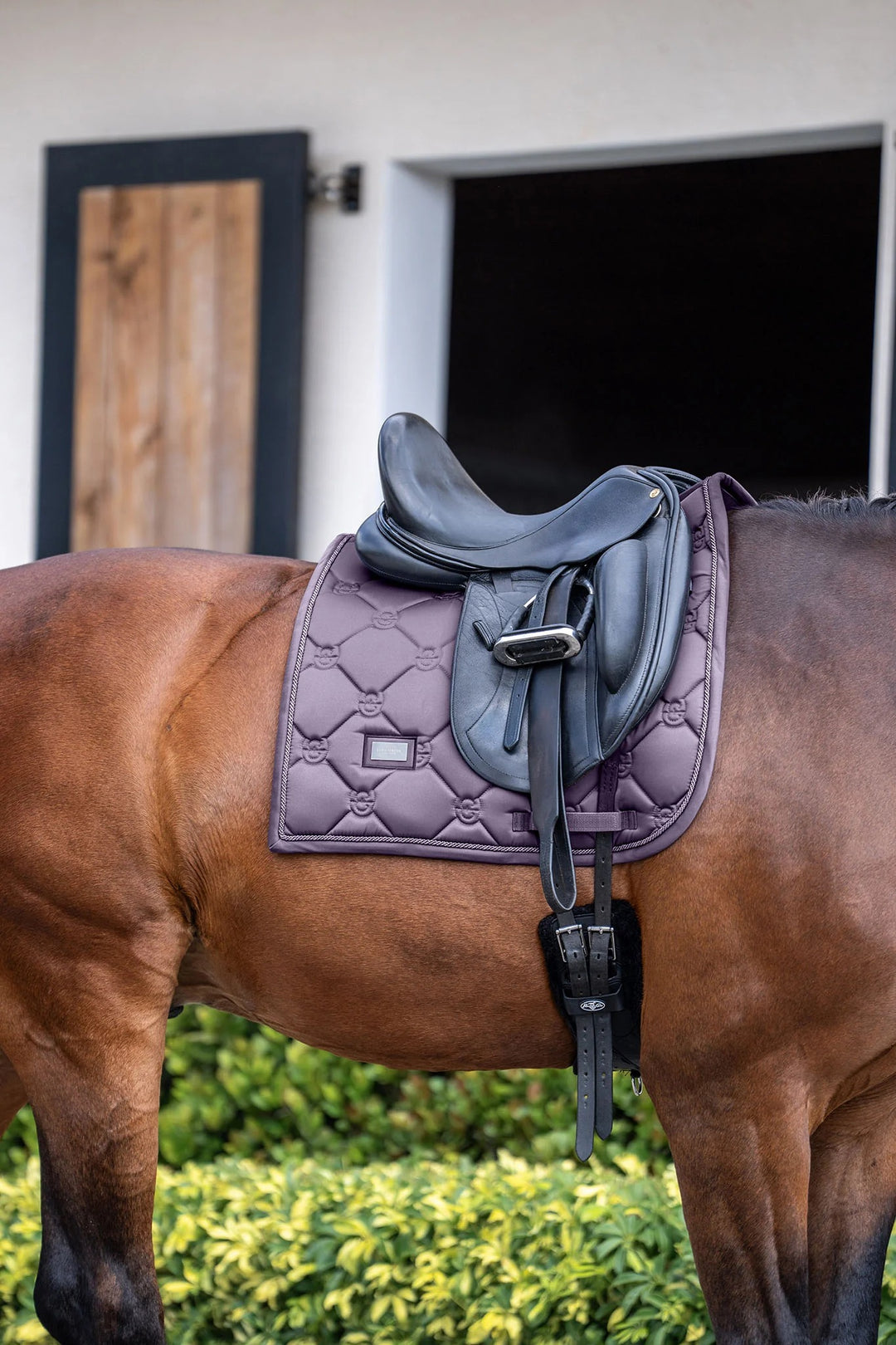 Equestrian Stockholm Classic Dressage Saddle Pad - Dark Violet - Dressage Saddle Pad - Kingdom Equestrian