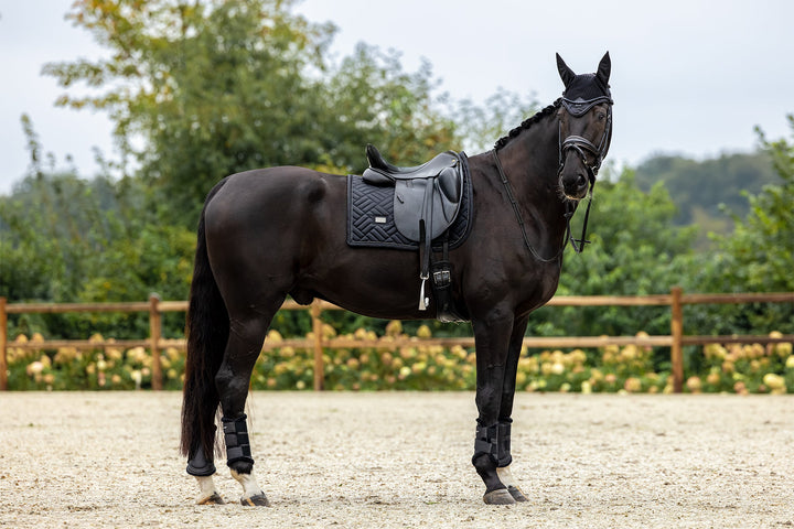 Equestrian Stockholm Modern Dressage Saddle Pad - Black - Dressage Saddle Pad - Kingdom Equestrian