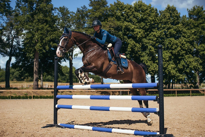 Riding Breeches Elite Navy - view 9