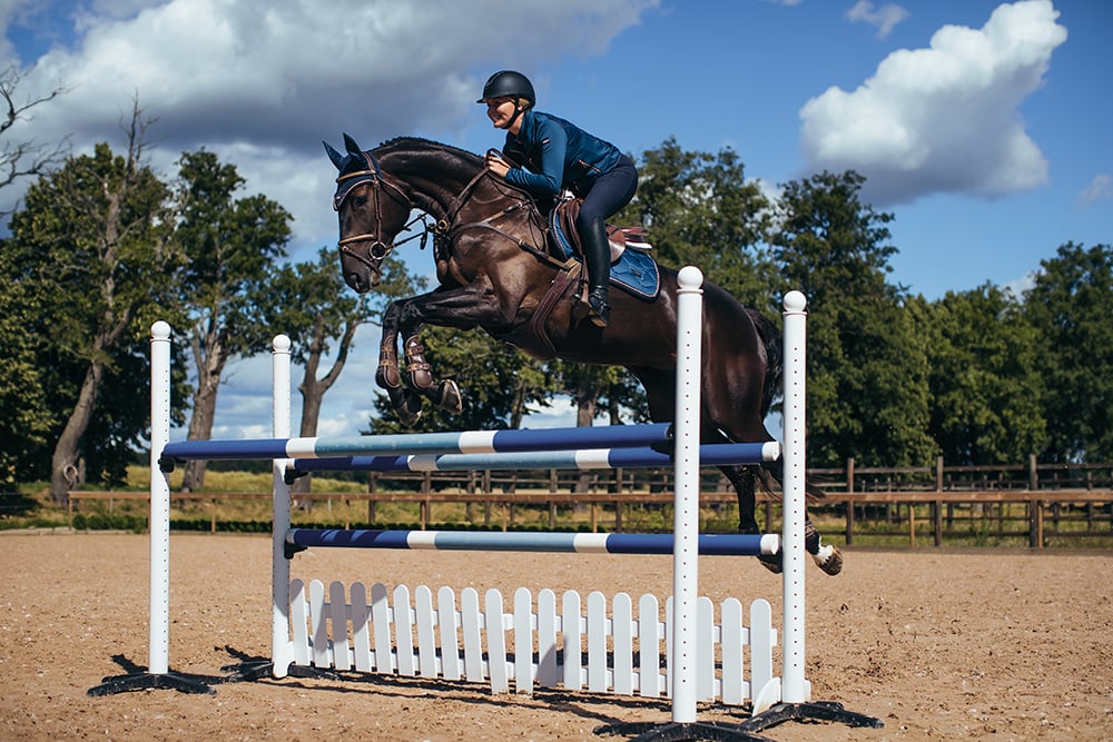 Riding Breeches Elite Navy - view 8